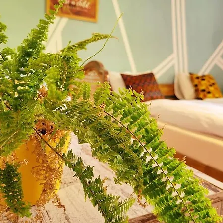아파트 Colourful 2.5 Bedroom With Large Balcony & Garden. *