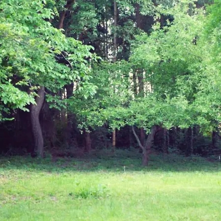 Colourful 2.5 Bedroom With Large Balcony & Garden. *