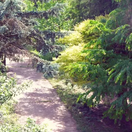 Colourful 2.5 Bedroom With Large Balcony & Garden. *