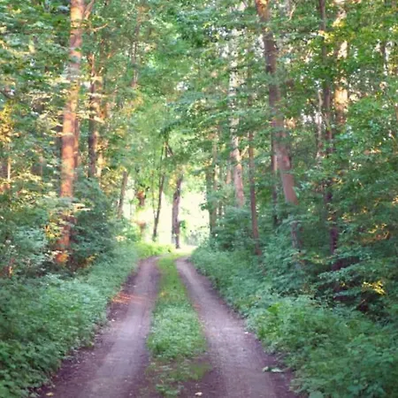 Colourful 2.5 Bedroom With Large Balcony & Garden.