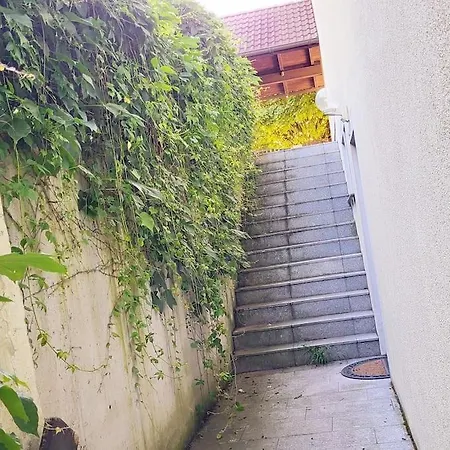 Colourful 2.5 Bedroom With Large Balcony & Garden.