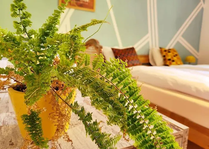 Apartment Colourful 2.5 Bedroom With Large Balcony & Garden. *