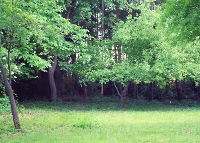 Colourful 2.5 Bedroom With Large Balcony & Garden. *