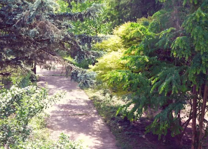 Colourful 2.5 Bedroom With Large Balcony & Garden. *