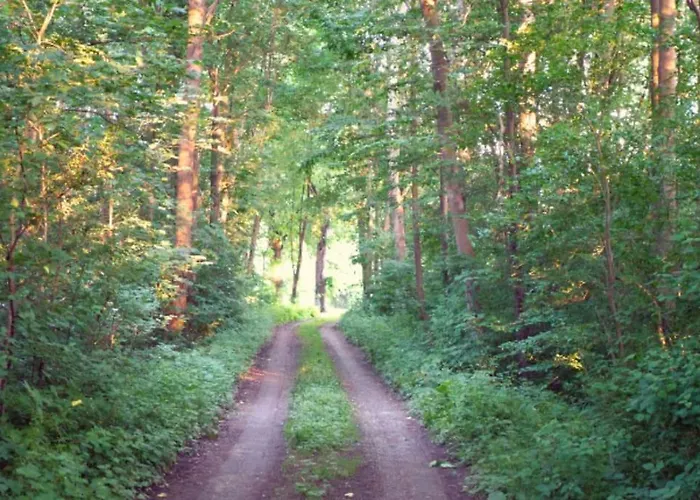 Colourful 2.5 Bedroom With Large Balcony & Garden.