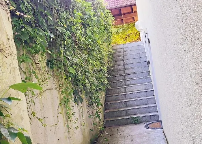 Colourful 2.5 Bedroom With Large Balcony & Garden.